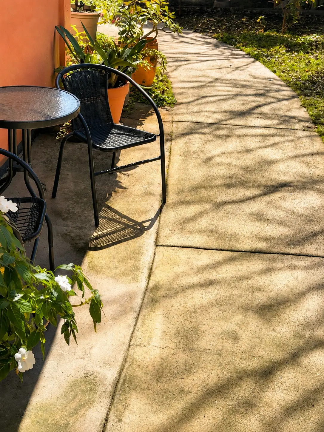 Shaded garden path and quiet outdoor seating at Christine Court